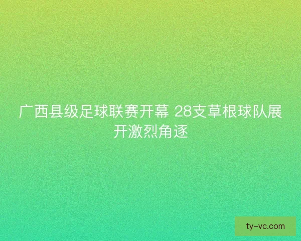 广西县级足球联赛开幕 28支草根球队展开激烈角逐
