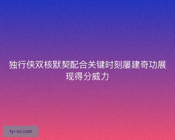 独行侠双核默契配合关键时刻屡建奇功展现得分威力